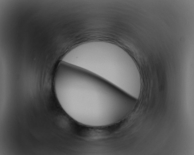 X0000088130315200705141002