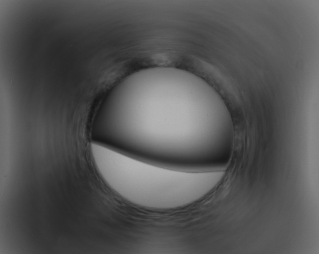 X0000088130317200705141002