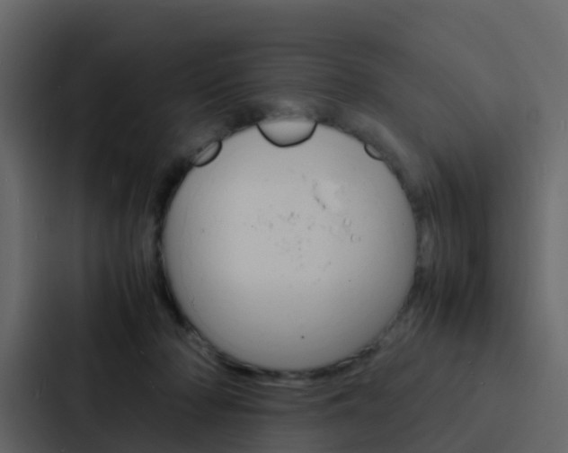 X0000088130318200705141002