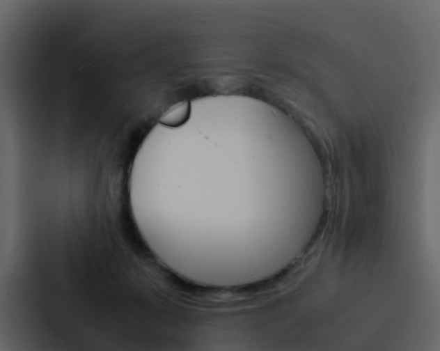 X0000088130319200705141002