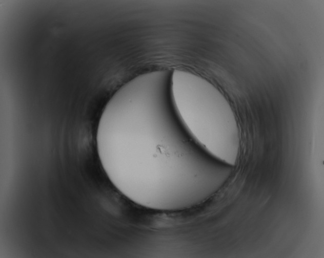 X0000088130320200705141002