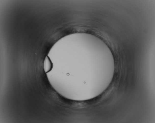X0000088130321200705141002