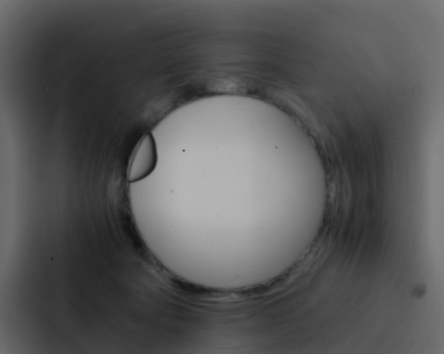 X0000088130322200705141002