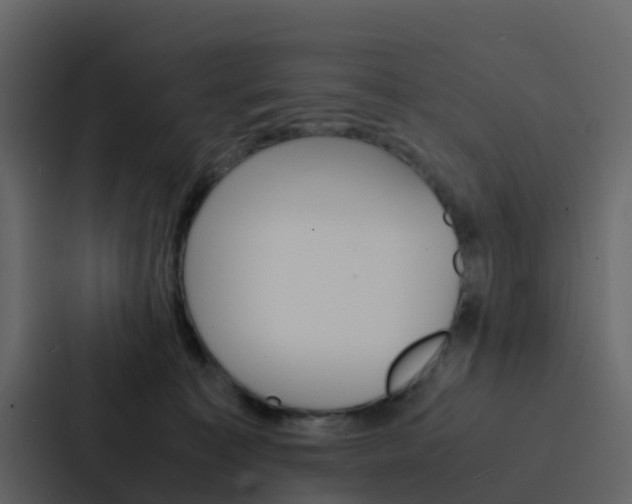 X0000088130323200705141002