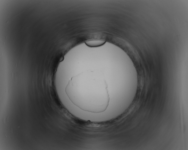 X0000088130326200705141002