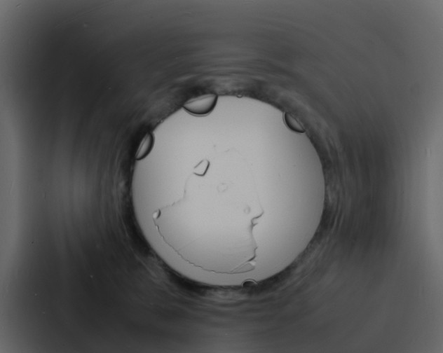 X0000088130327200705141002