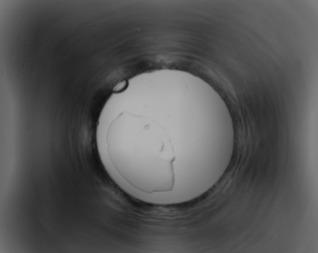 X0000088130328200705141002