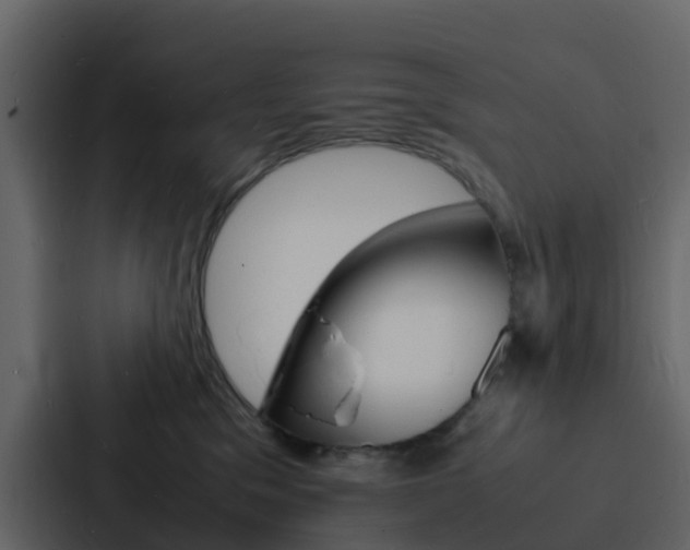 X0000088130329200705141002