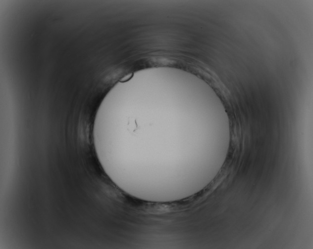 X0000088130330200705141002
