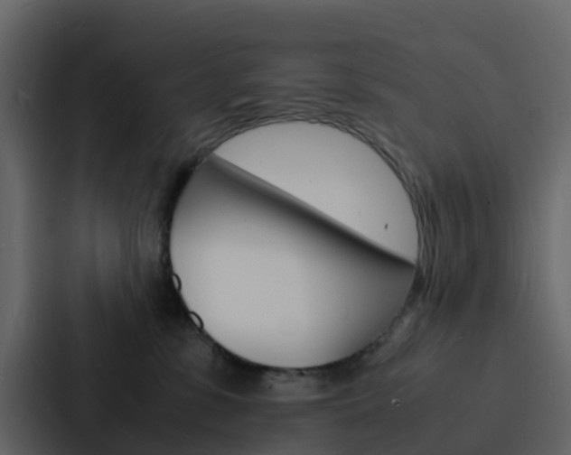 X0000088130331200705141002