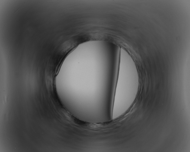 X0000088130333200705141002
