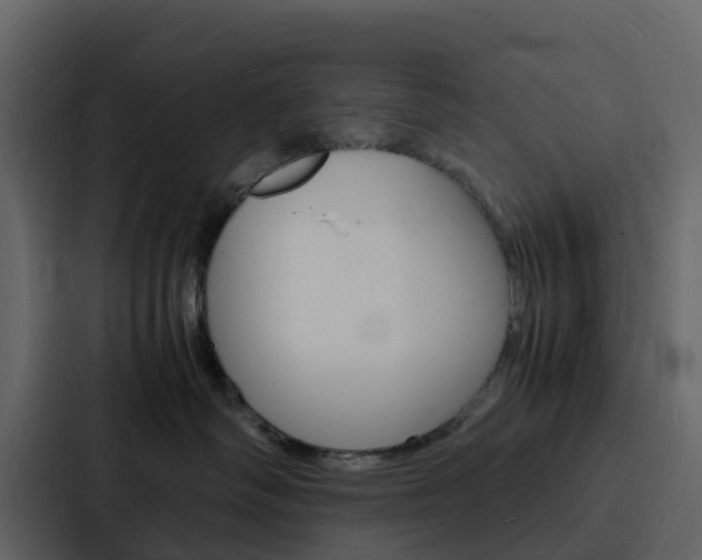 X0000088130334200705141002