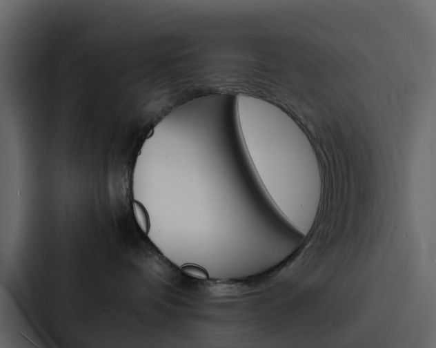 X0000088130336200705141002