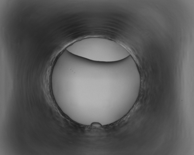 X0000088130337200705141001