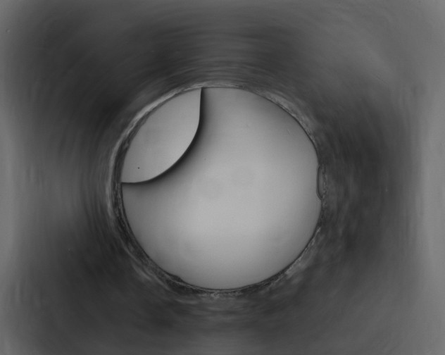 X0000088130338200705141001