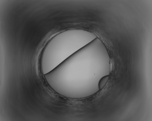 X0000088130339200705141001