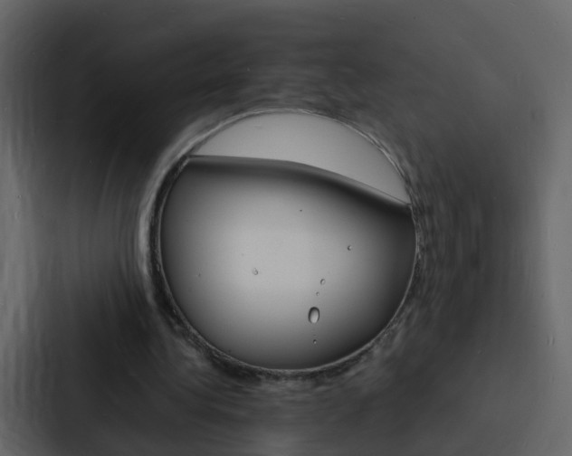 X0000088130340200705141001