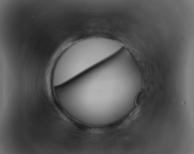 X0000088130341200705141001