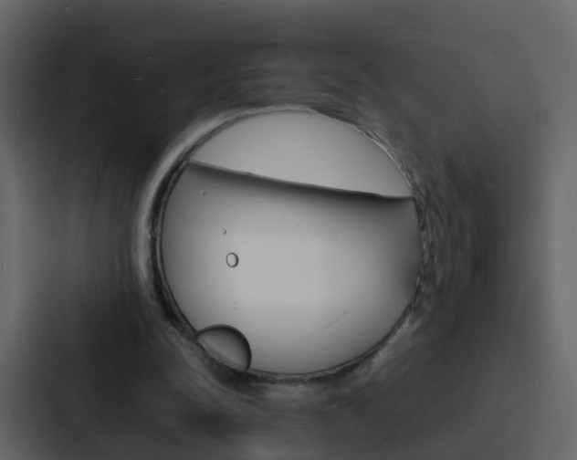 X0000088130342200705141001