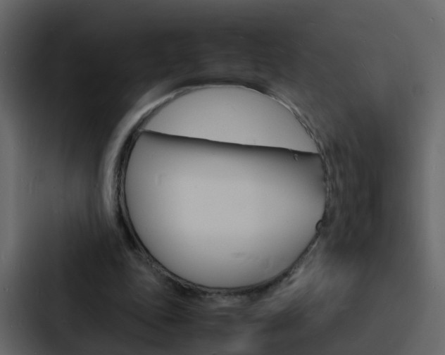 X0000088130343200705141002
