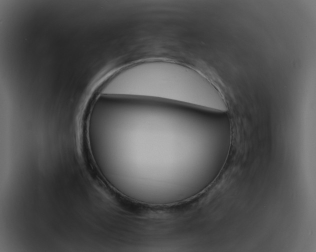 X0000088130344200705141002