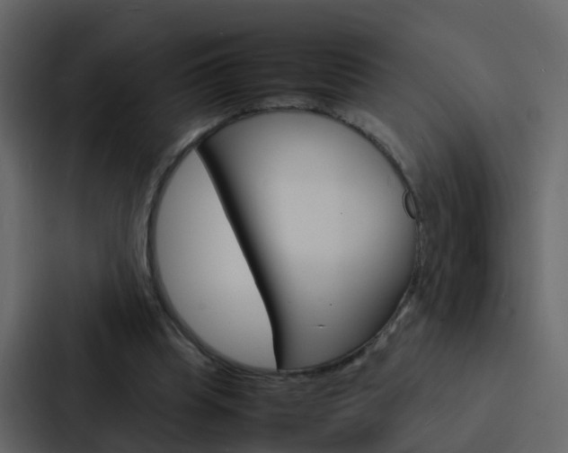 X0000088130345200705141002