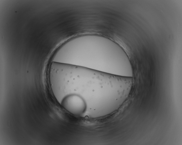 X0000088130346200705141002