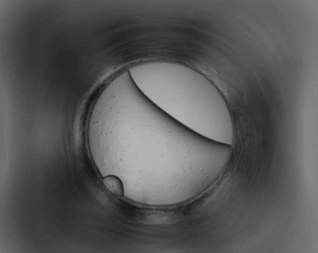X0000088130347200705141002