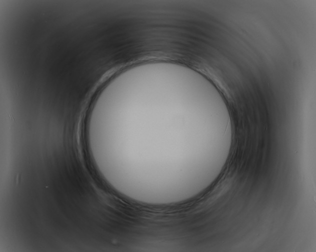 X0000088130348200705141002