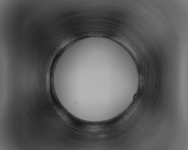 X0000088130349200705141002