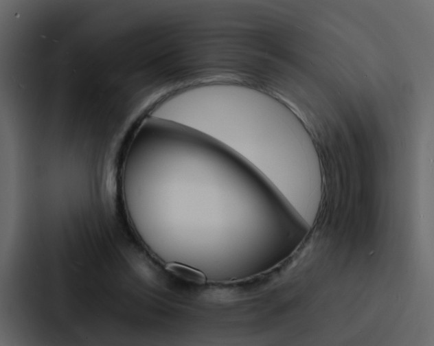 X0000088130350200705141002