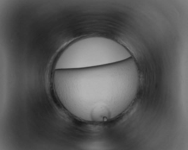 X0000088130351200705141002