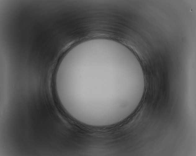 X0000088130352200705141002