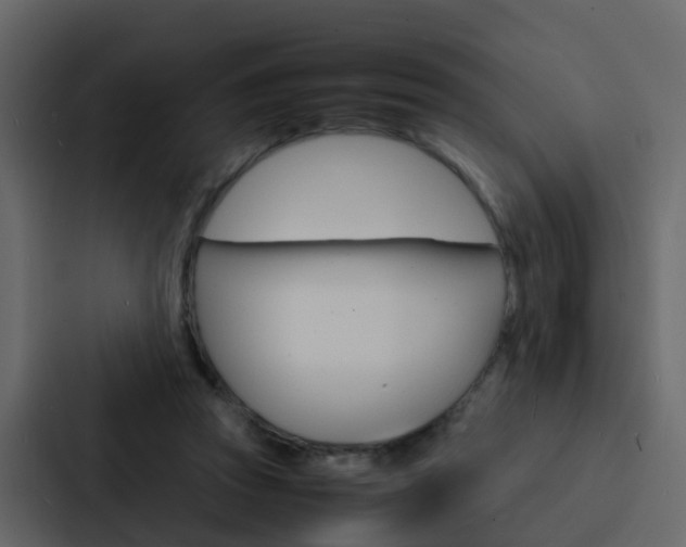 X0000088130353200705141002