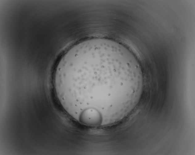 X0000088130354200705141002