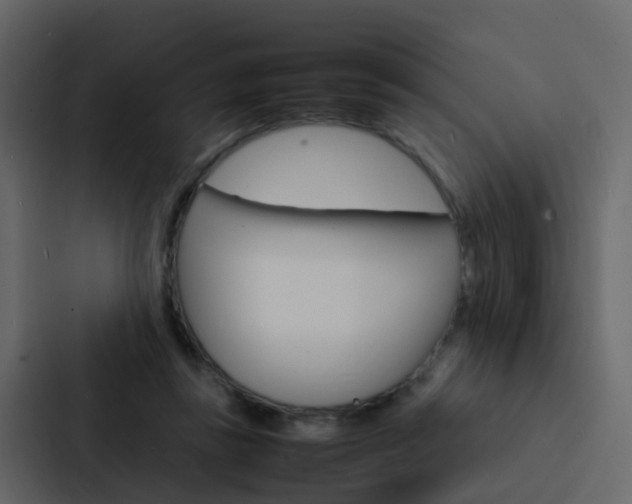X0000088130355200705141002