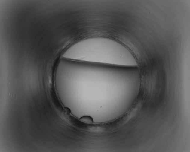 X0000088130358200705141002