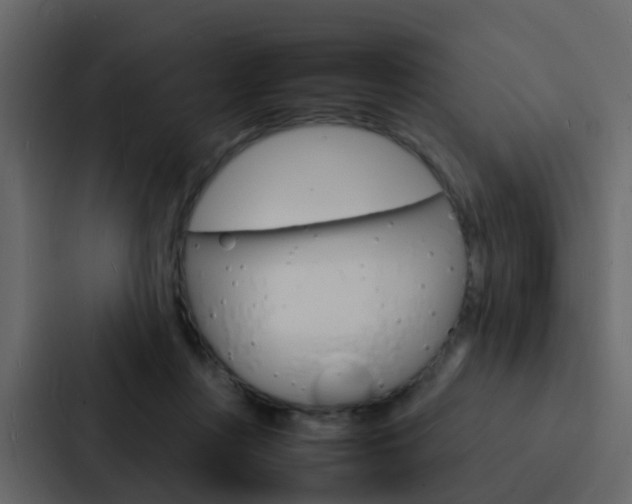 X0000088130359200705141002