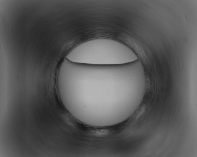 X0000088130361200705141002