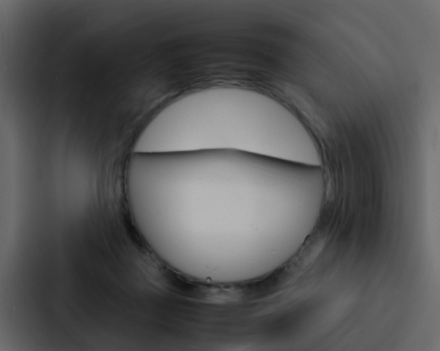X0000088130363200705141002