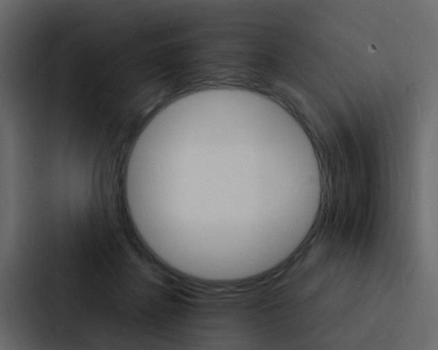 X0000088130364200705141002