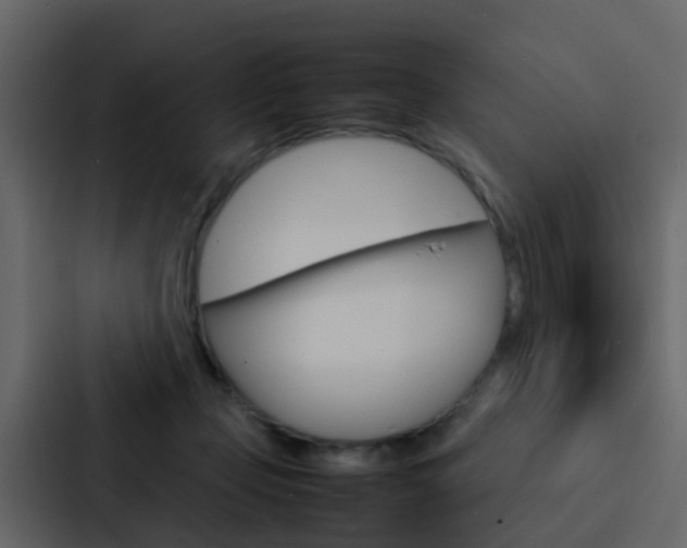 X0000088130365200705141002