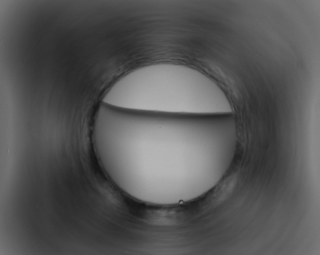 X0000088130366200705141002