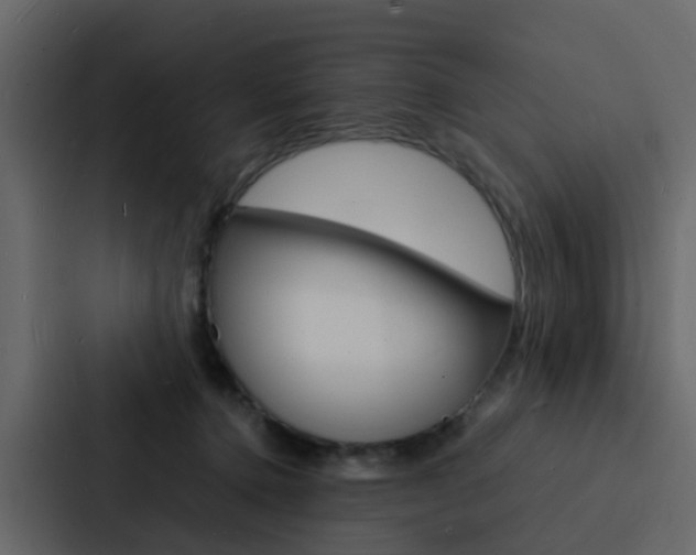 X0000088130368200705141002