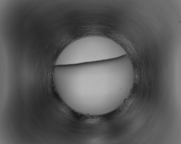 X0000088130369200705141002