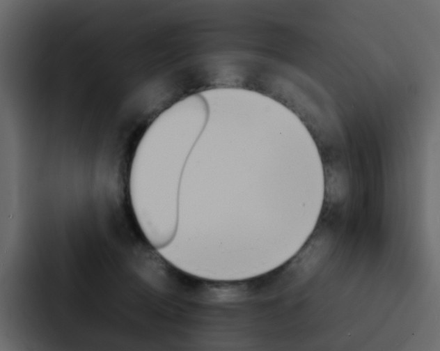 X0000088130370200705141002