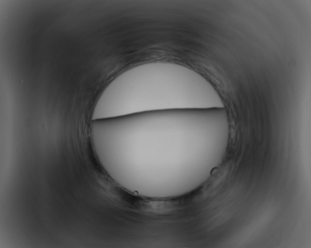X0000088130371200705141002