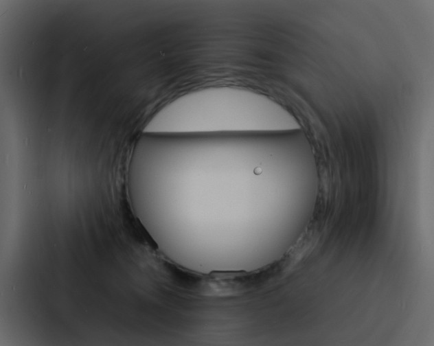 X0000088130372200705141002