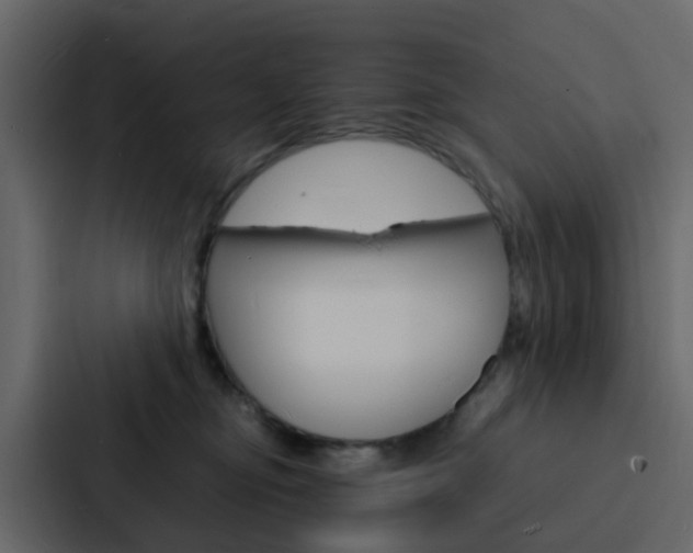 X0000088130374200705141002
