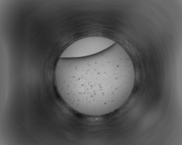 X0000088130375200705141002